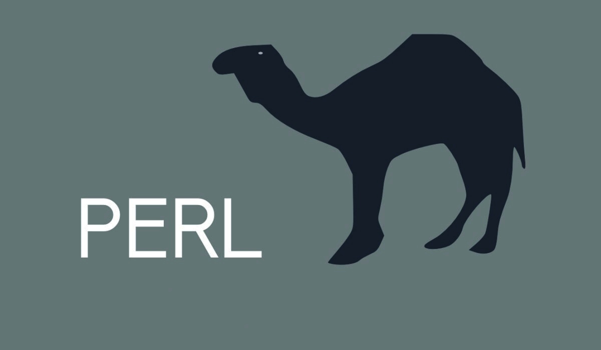 Practical Extraction and Report Language (PERL)