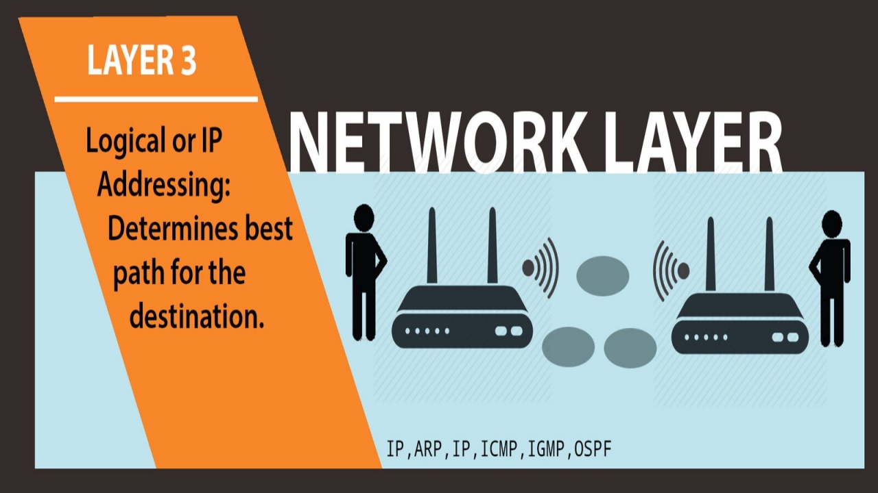 Network Layer